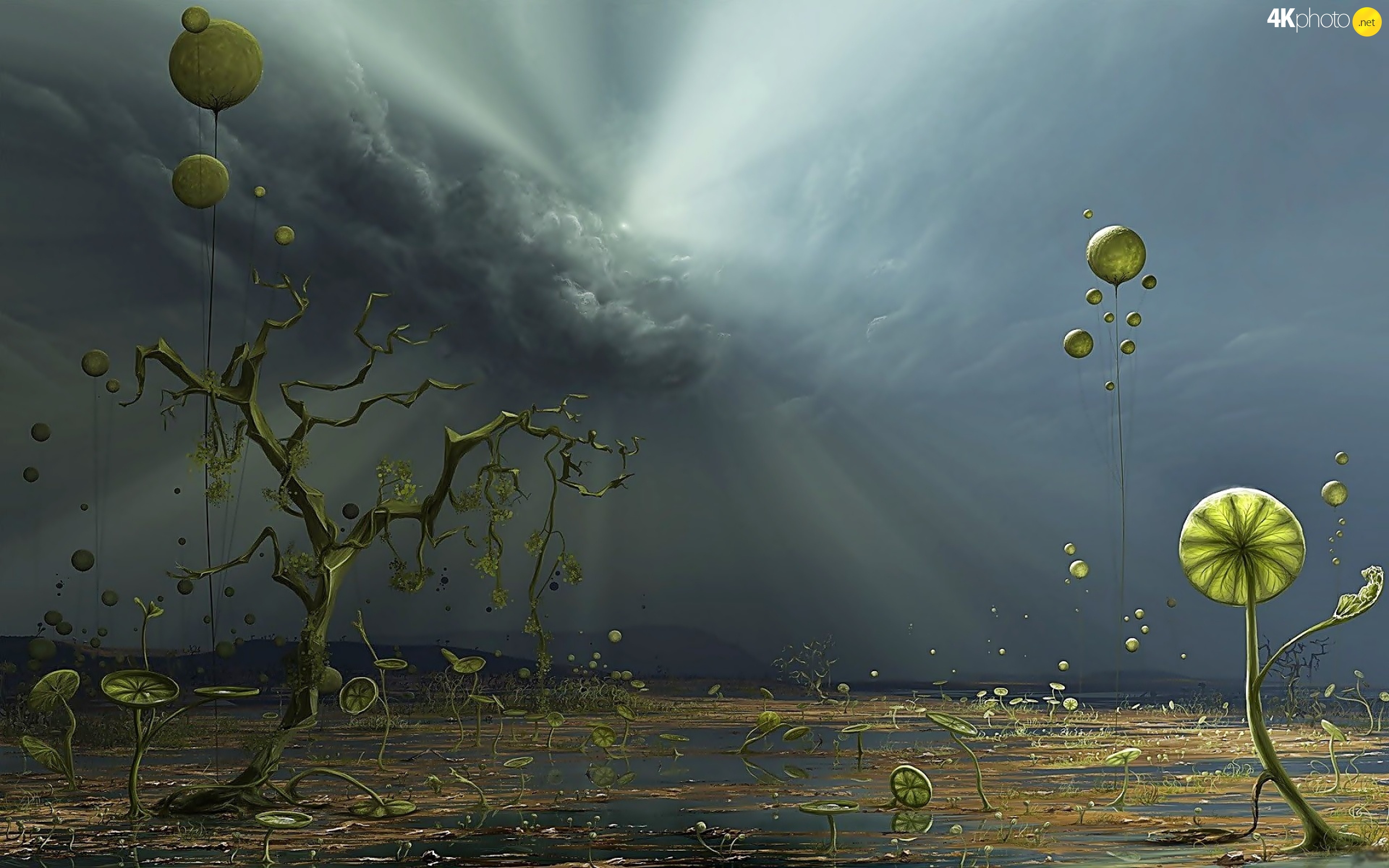 the clouds rays plants viewes of computer - Dust Wars: A Game of Bunnies – Chapter 9